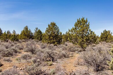 21626 NE Highway 20, Bend, OR 97701 - photo 7