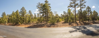 221 S FALLING LEAF RD 99, Show Low, AZ