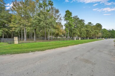 38242 Windy Ridge, Magnolia, TX 77355 - photo 2