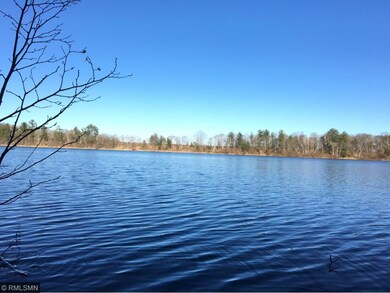 At the water's edge of Pine Island Lake.
