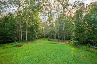 1295 Durrett Ridge Rd, Earlysville, VA 22936 - photo 7