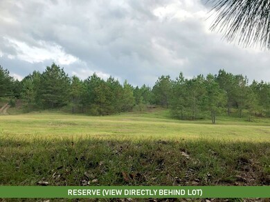 27510 E Benders Landing Blvd, Spring, TX 77386 - photo 2