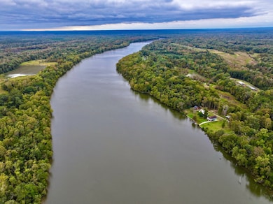 1785 International Paper Rd, Coffeeville, AL 36524 - photo 6