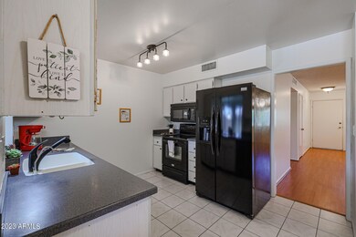 10907 W Santa fe Dr unit 4, Sun City, AZ 85351 - photo 6