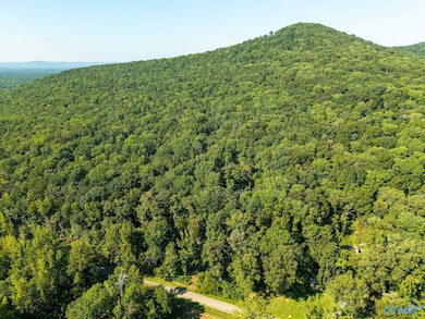 6.5 Acres Rock Spring Rd, Owens Cross Roads, AL 35763 - photo 4