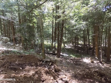0 Moberg Rd, Becket, MA 01223 - photo 7