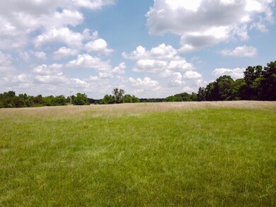 0 Sims Rd N of unit 2281439, Shelbyville, TN 37160 - photo 5