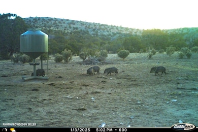 76 Surveyors Canyon Rd, Pinon, NM 88344 - photo 7