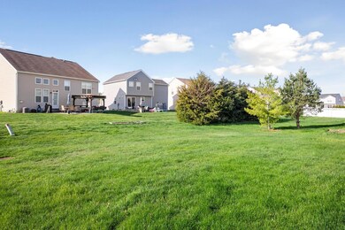 View from Back Yard
