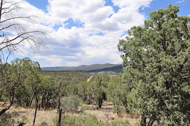 000 Trailer Rd unit 23, Timberon, NM 88350 - photo 3