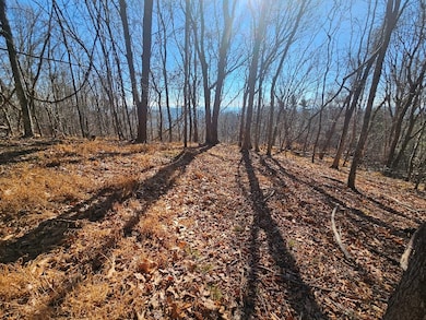 Lot#6 Fannies Ln, Fries, VA 24330 - photo 6