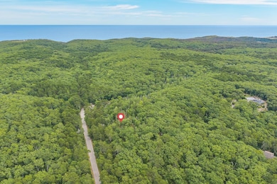 35A Higgins Hollow Rd, Truro, MA 02666 - photo 3