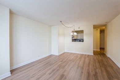 unlisted-address, Chicago, IL 60611 - photo 3
