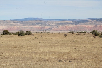 TRACT 5-C La Joya - Nm 96, Youngsville, NM 87604 - photo 6