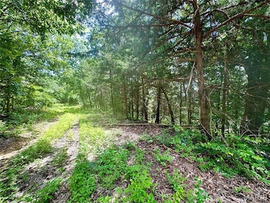 TBD Bluebird Ln, Rolla, MO 65401 - photo 2