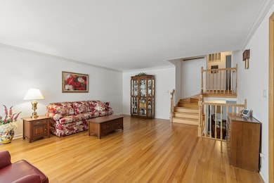 9446 Overhill Ave, Morton Grove, IL 60053 - photo 7