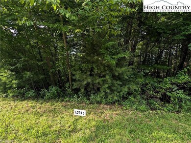 Lot 5 Briarwood Ln, Sparta, NC 28675 - photo 5