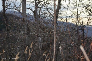L12 & L13 Middle Rd, Anchorage, AK 99577 - photo 3