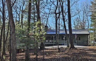 976 Dover Falls Trail, Ellijay, GA 30540 - photo 5