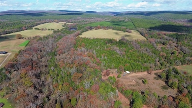 9943 Rough Branch Rd, Mulberry, AR 72947 - photo 6