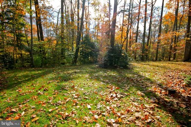 2596 Bell Creek Dr, Davidsonville, MD 21035 - photo 4