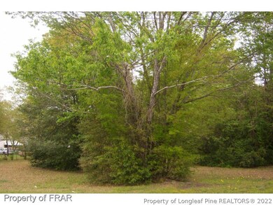 303 Homewood St, Fayetteville, NC 28306 - photo 3