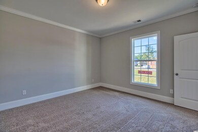 124 Crabapple Dr unit Lot 43 Marco G, Longs, SC 29568 - photo 7