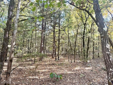 Tract 3 Benson Ln, Heavener, OK 74937 - photo 4