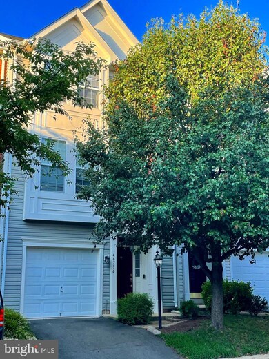 46796 Vermont Maple Terrace, Sterling, VA 20164 - photo 2