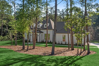 630 Lonestar Rd, Huntsville, TX 77340 - photo 4