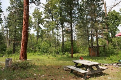 0 Lot 3 David Coates Short Plat unit 1116498, Twisp, WA 98856 - photo 2