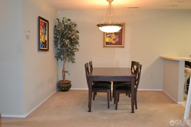 249 Vasser Dr, Piscataway, NJ 08854 - photo 5