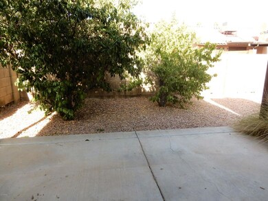 023-228720 - Backyard 4