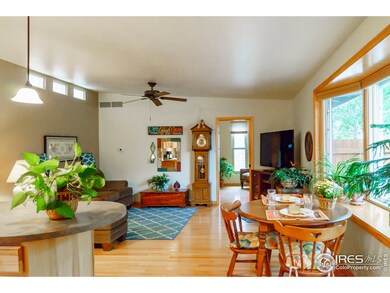 6993 Miro Ct, Niwot, CO 80503 - photo 6