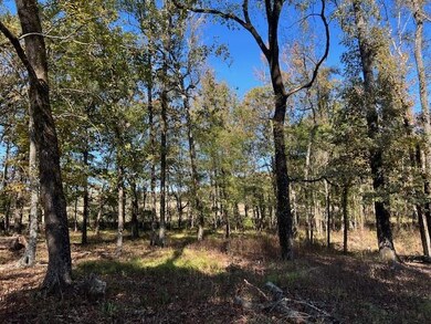 197 Deer Valley Cir, Broken Bow, OK 74278 - photo 7