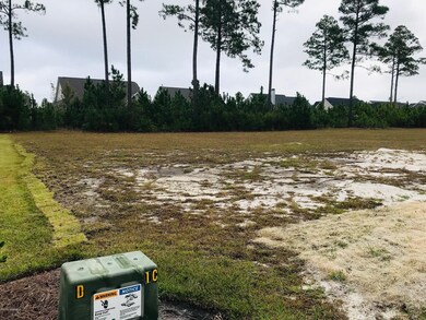 1261 Cross Water Cir, Leland, NC 28451 - photo 5