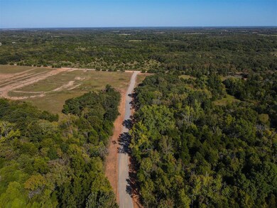Drone / aerial view featuring a forest view