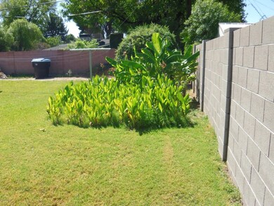 BACK YARD 1