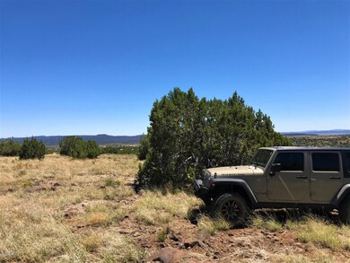 0 Picacho Butte unit 1032224, Ash Fork, AZ 86320 - photo 6