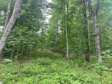 11599 S Tower Rd, Kasson Township, MI 49664 - photo 3