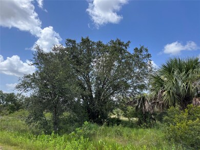 17915 NW 290th St, Okeechobee, FL 34972 - photo 6