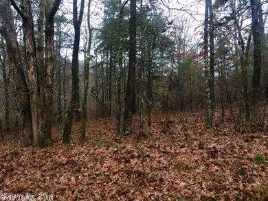 000 Tweedy Rd, McRae, AR 72102 - photo 6