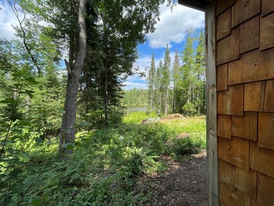 Cabin view of the pond