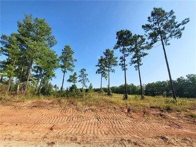 0 Hwy 117 Lot 10 Hwy unit 2531753, Provencal, LA 71468 - photo 2