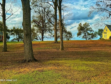 7 Yazoo Pass Dr, Dundee, MS 38626 - photo 2