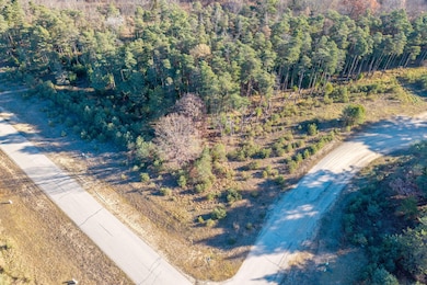 11210 Killarney Dr, Canadian Lakes, MI 49346 - photo 2