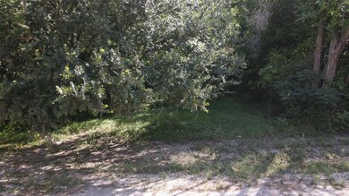 825 Woodhaven Ct, Granbury, TX 76048 - photo 3