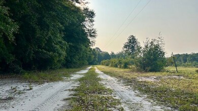 0 Alred Rd unit LotWP001 24166422, Westville, FL 32464 - photo 6