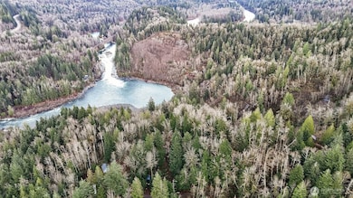 0 00381300002900 unit NWM2456608, Gold Bar, WA 98251 - photo 3