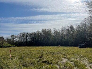 0 Mitchell Rd, Picayune, MS 39466 - photo 4